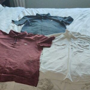Set of 3 100% Cotton Polo Shirts: Diesel, Banana Republic